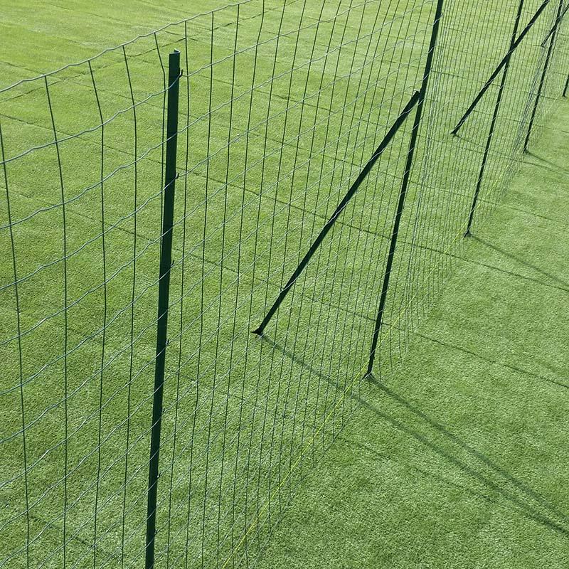 緑 アニマルガードフェンス セット 2m×20m (フェンス1巻・支柱11本・サポート支柱6本) グリーン アニマルフェンス シンセイ 代引不可 GRF20 | SHINSEI | 05