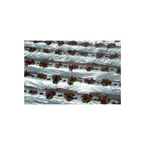 個人宅配送不可 北海道不可 3本 リバースマルチ 銀黒 0.023mm×180cm×200m マルチ イワタニ タS 代引不可 | 