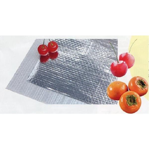 2本 ネオポリシャインクロスT87 無穴 さくらんぼ・柿用 0.1mm厚×1.5m×50m エーアイシーテック カ施 北海道不可 代引不可 | 