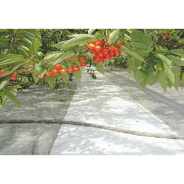 2本 スノーテックス 1.8m×50m 萩原工業 農業用反射シート 個人宅配送不可 代引不可 | 