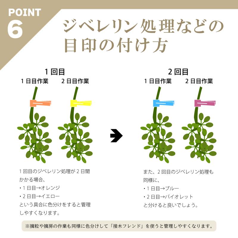 200個 接木フレンド バイオレット 紫 接木用 クリップ 接ぎ木 ナス科用 ウリ科用 兼用 ジベレリン処理 ジベ処理 摘粒 摘房 目印 日本ピアレス工業 カ施 DZ |  | 09