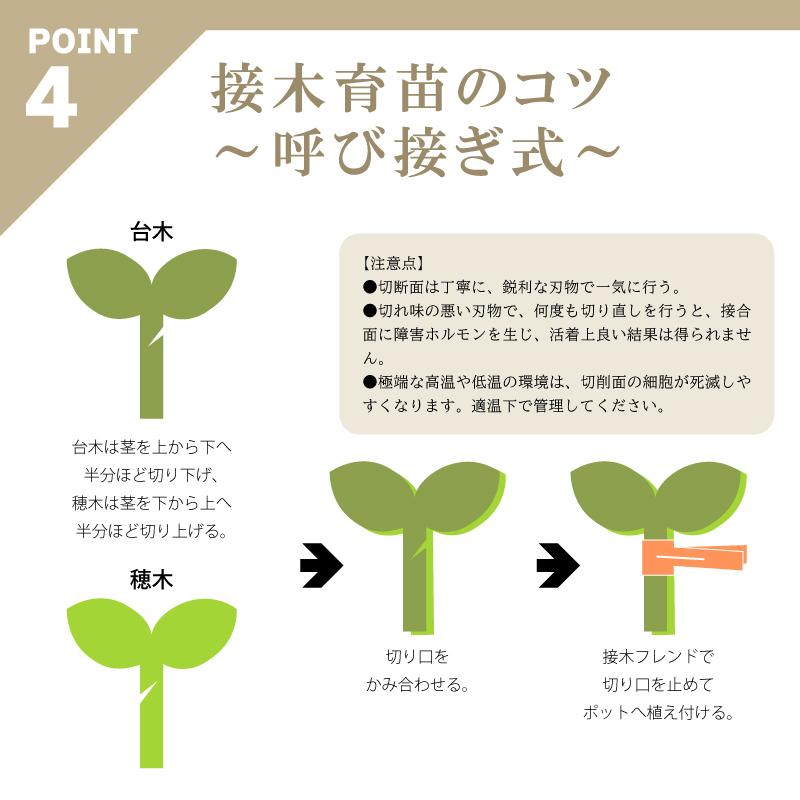 200個 接木フレンド オレンジ 橙色 接木用 クリップ 接ぎ木フレンド ナス科用 ウリ科用 兼用 ジベレリン処理 ジベ処理 摘粒 摘房 目印 日本ピアレス工業 カ施 DZ |  | 07