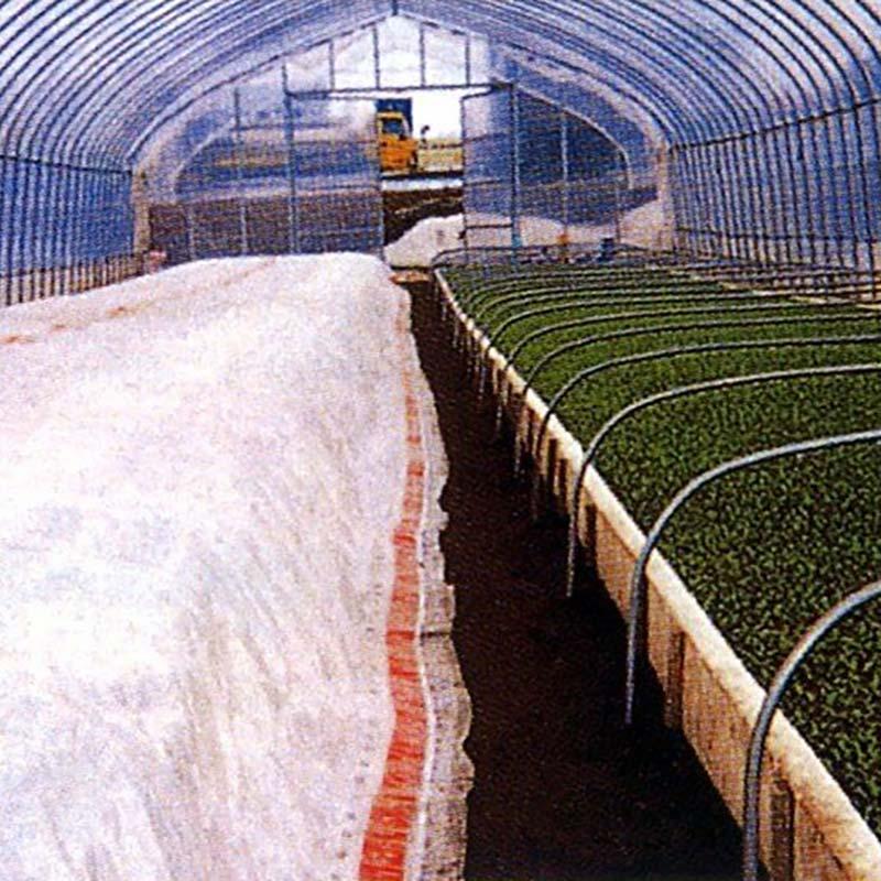 2本 ホカホカサンシート 230cm×50m 保温 生育増進 トンネル 暖かい 3層構造 フィルム テトロン綿 前田工繊 カ施 代引不可 | 