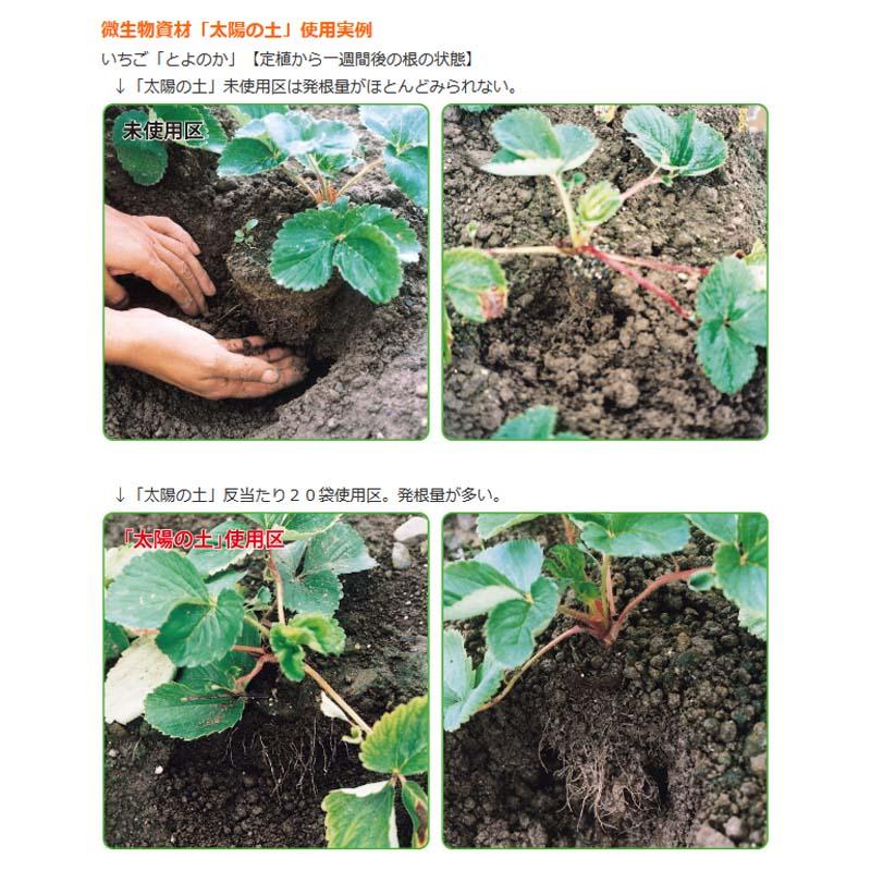 30袋 有機肥料 太陽の土 ペレット 20kg 有機 発酵 醗酵 培土 肥料 東京グリーン 代引不可 |  | 02