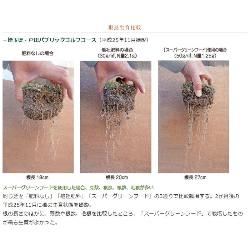 30袋 土壌改良 スーパーグリーンフード ペレット 20kg 濃縮活性醗酵微生物資材 ゴルフ場 競技場 促進 芝生 東京グリーン 代引不可 |  | 03