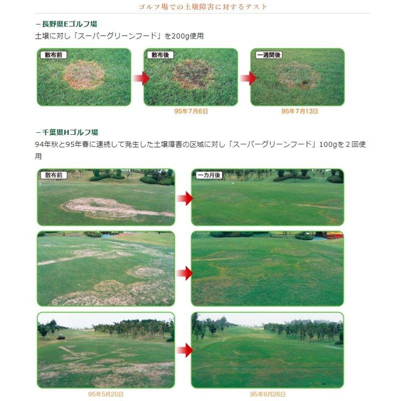 30袋 土壌改良 スーパーグリーンフード ペレット 20kg 濃縮活性醗酵微生物資材 ゴルフ場 競技場 促進 芝生 東京グリーン 代引不可 |  | 04