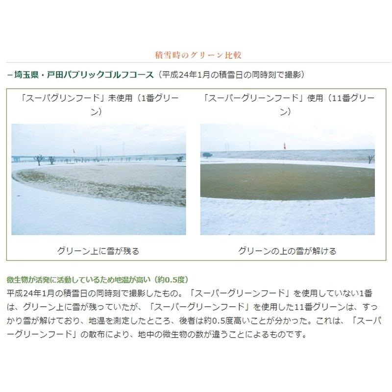 30袋 土壌改良 スーパーグリーンフード スペシャル 20kg 濃縮活性醗酵微生物資材 ゴルフ場 競技場 促進 芝生 東京グリーン 代引不可 |  | 02
