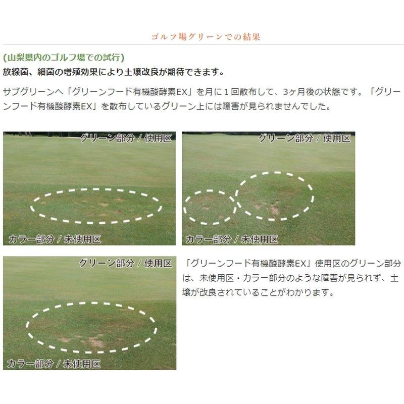 土壌改良 グリーンフード 有機酸酵素EX 1L×15 土壌PH降下 強化 分解消化 有機酸 酵素 核酸物質 アミノ酸 油脂分 糖分 灰分 東京グリーン 代引不可 |  | 01