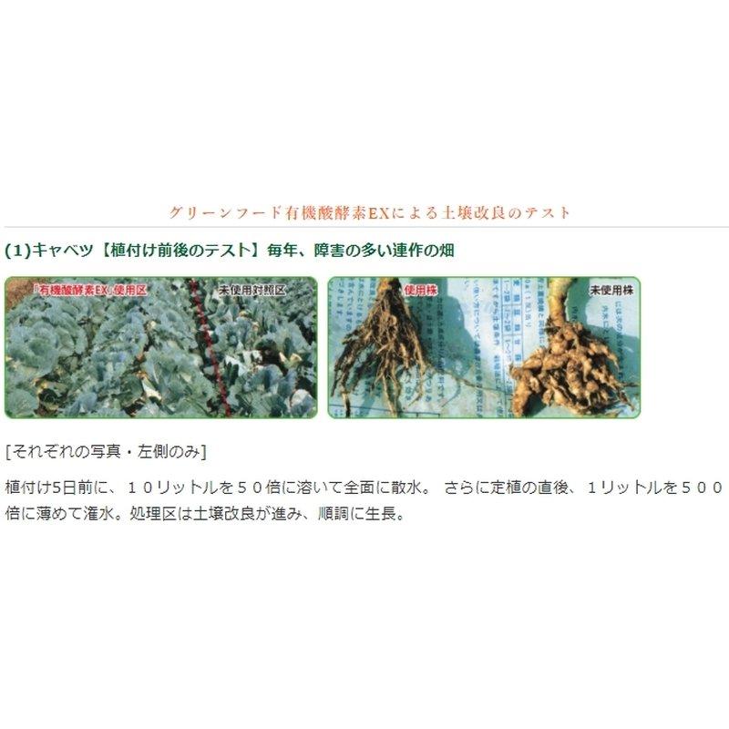 土壌改良 グリーンフード 有機酸酵素EX 1L×15 土壌PH降下 強化 分解消化 有機酸 酵素 核酸物質 アミノ酸 油脂分 糖分 灰分 東京グリーン 代引不可 |  | 02