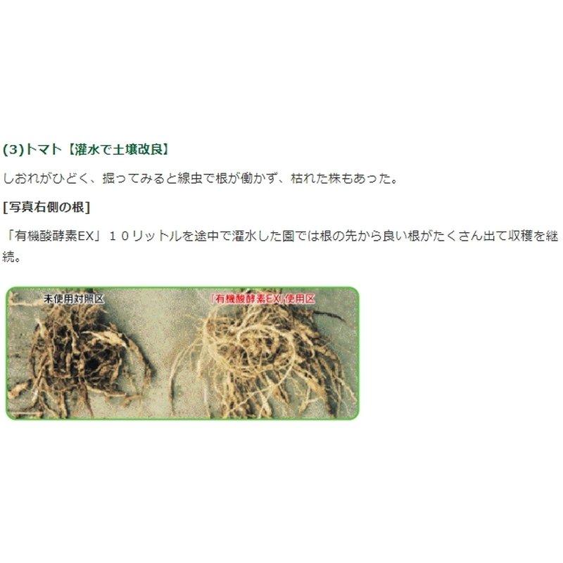 土壌改良 グリーンフード 有機酸酵素EX 1L×15 土壌PH降下 強化 分解消化 有機酸 酵素 核酸物質 アミノ酸 油脂分 糖分 灰分 東京グリーン 代引不可 |  | 04