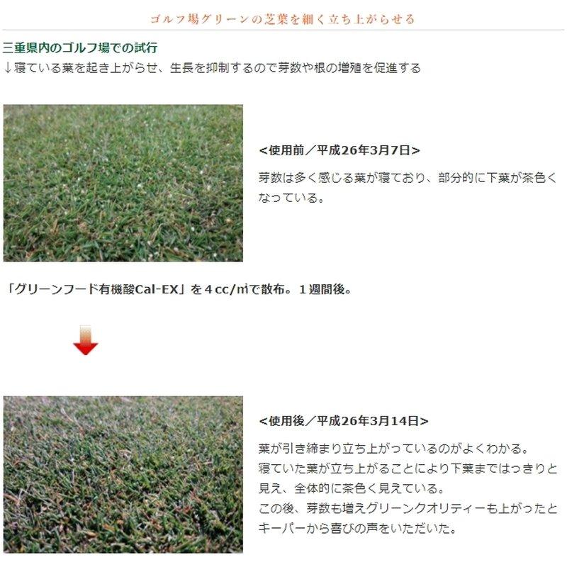 植物細胞促進 グリーンフード 有機酸酵素Cal EX 1L×15 疲労回復 細菌 放線菌類 分裂 増殖 増進 芽 葉端 毛根 細胞液 糖分濃度 増強 東京グリーン 代引不可 |  | 01