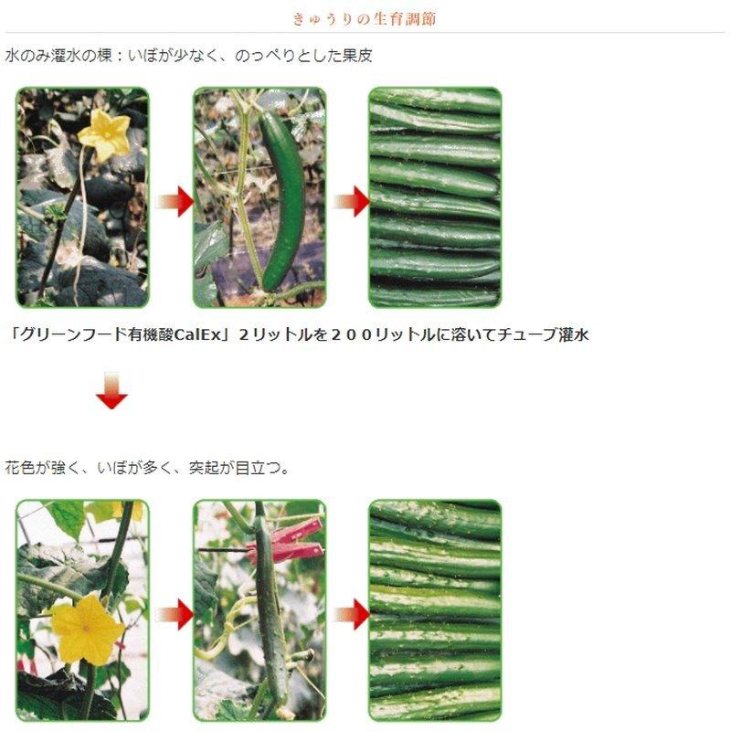 植物細胞促進 グリーンフード 有機酸酵素Cal EX 1L×15 疲労回復 細菌 放線菌類 分裂 増殖 増進 芽 葉端 毛根 細胞液 糖分濃度 増強 東京グリーン 代引不可 |  | 02
