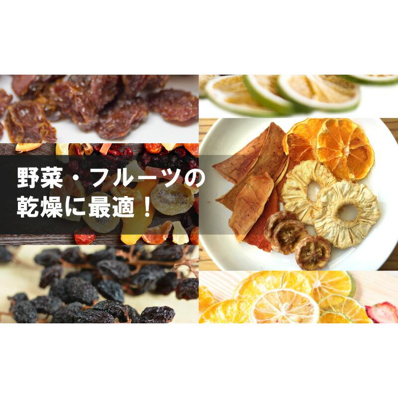 食品乾燥機 ドラッピーmini 100V 家庭用 業務用 DSJ-mini ドラッピーミニ ドライフード ドライフルーツ 乾燥 野菜 果物 乾燥機 食品乾燥 野菜乾燥 静岡製機 DZ |  | 03