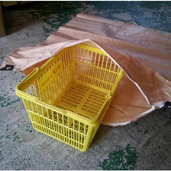 50枚 もみがら袋 籾殻袋 樹脂製 (コンテナバッグと同じ素材) 薄茶色 1000×1350mm コ商 中G H |  | 02