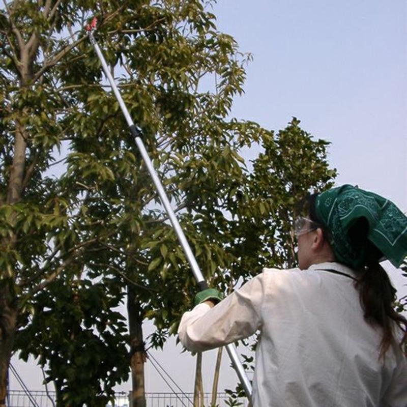 5丁 高枝切りバサミ アルス ズームチョキチルトR採収タイプショート2.0 160ZTR-2.0-3D 福KD |  | 05