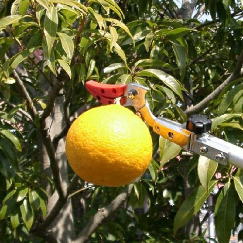 5丁 高枝切りバサミ アルス ズームチョキチルトR採収タイプショート2.0 160ZTR-2.0-3D 福KD |  | 06