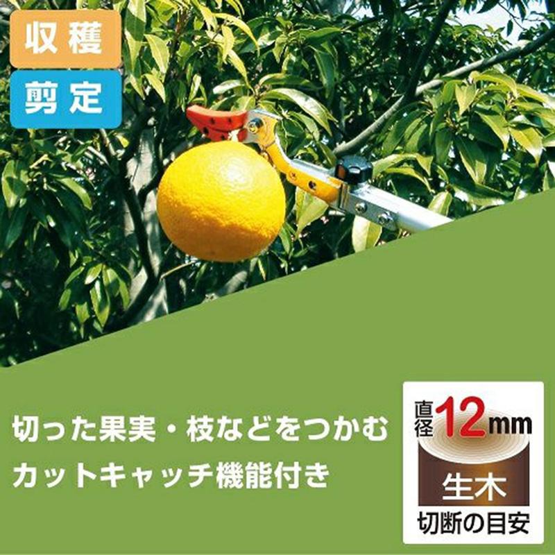 5丁 高枝切りバサミ アルス ズームチョキチルトR採収タイプロング3.0 160ZTR-3.0-5D 福KD |  | 04