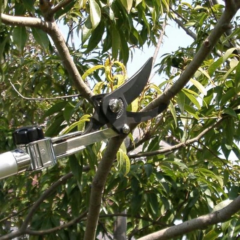 5丁 高枝切りバサミ アルス ズームチョキチルトR剪定タイプショート2.0 180ZTR-2.0-3D 福KD |  | 05