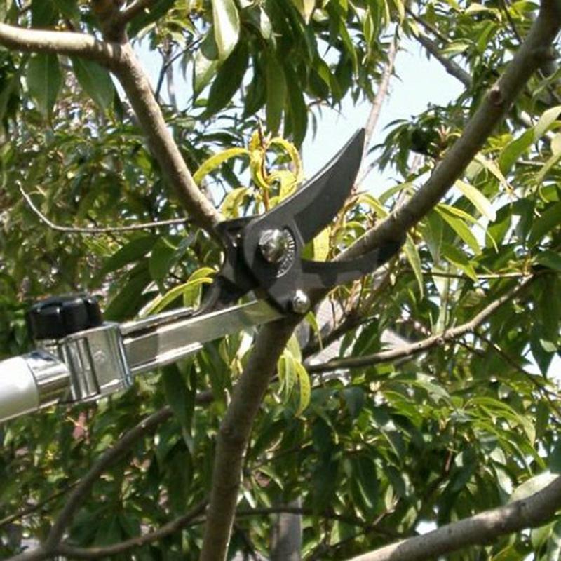 5丁 高枝切りバサミ アルス ズームチョキチルトR剪定タイプロング3.0 180ZTR-3.0-5D 福KD |  | 05