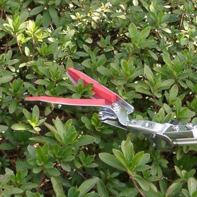 替刃のみ 190ZTR-1 伸縮式高枝鋏 ズームチョキチルトR 刈込タイプ 替刃 アルス 福KD |  | 01