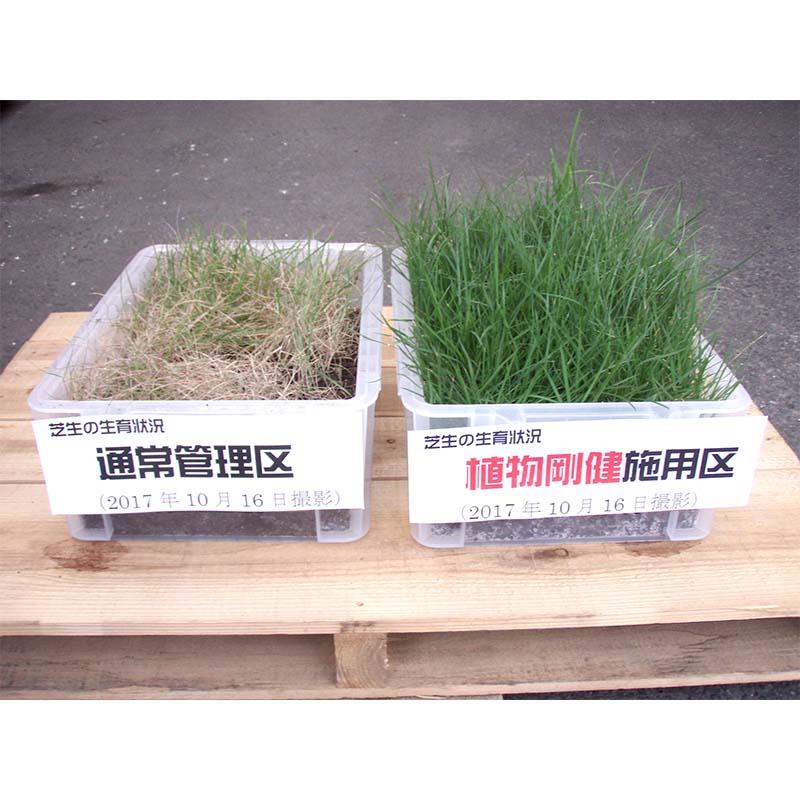 植物活力剤 植物剛健 5L キチン キトサンオリゴ糖 希釈タイプ 福井シード 産直 代引不可_1