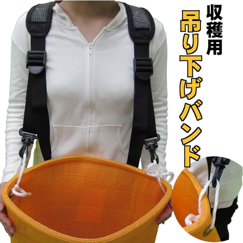 24個 収穫用 吊り下げバンド 果実・野菜の収穫に便利 (金具なし) 一色本店 D |  | 01
