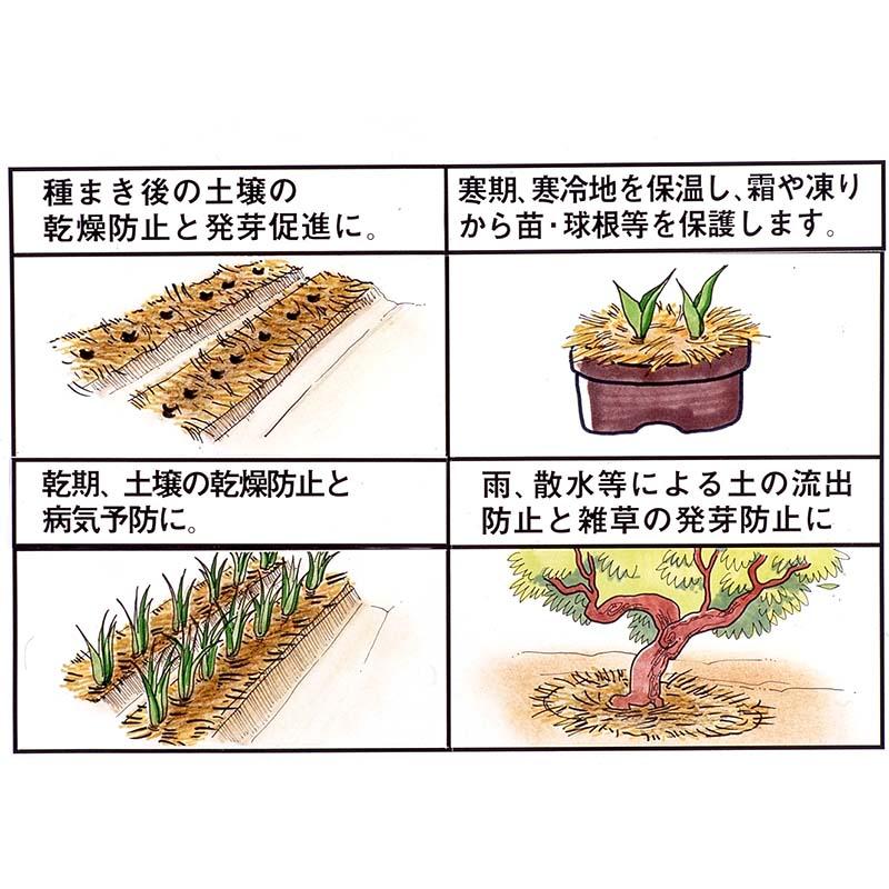 24袋 園芸長わら 2束入 稲わら 藁 稿 コンパル アサノヤ産業D | アサノヤ産業 | 03