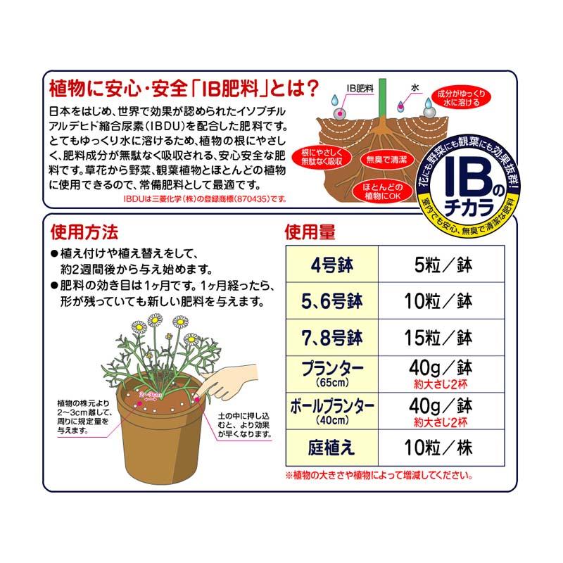 90個 花ごころ IBのチカラ グリーンそだちEX 80g 追肥 観葉植物 草花 野菜 肥料 タS 個人宅配送不可 代引不可 |  | 01