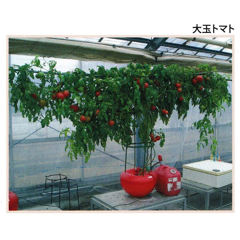 水耕栽培キット ホームハイポニカ 601 果菜ちゃん 家庭菜園 野菜 栽培 室内園芸 カ園 北海道不可 個人宅配送不可 代引不可 |  | 01