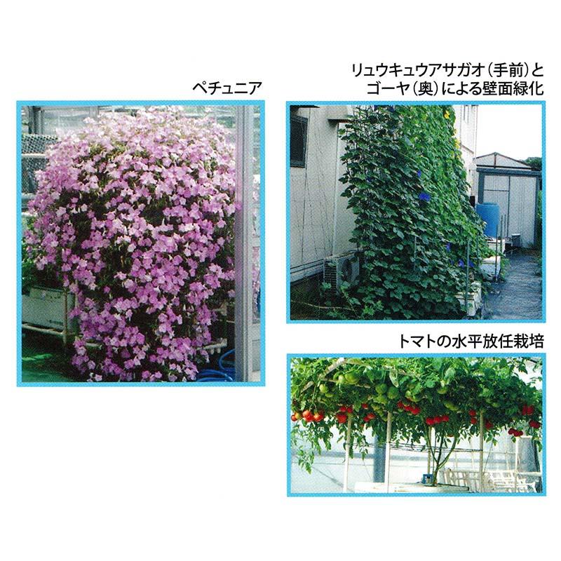 水耕栽培キット ホームハイポニカ 303 家庭菜園 大量育成対応 果菜 葉菜 花 トマト キュウリ カ園 北海道不可 個人宅配送不可 代引不可 |  | 02