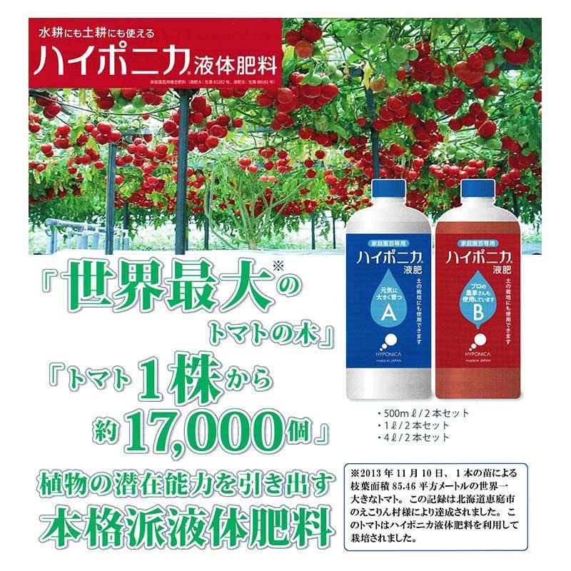 10セット ハイポニカ液体肥料 A液・B液 500ml各1本セット×10セット 水耕栽培 液肥 家庭菜園 カ園 北海道不可 個人宅配送不可 代引不可 |  | 02