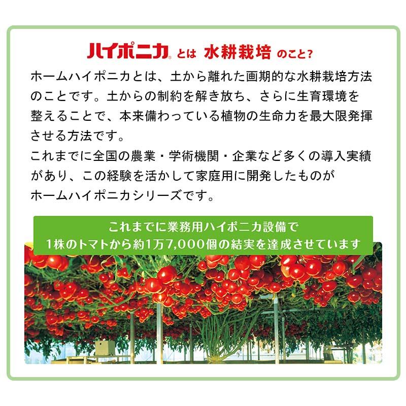 10セット ハイポニカ液体肥料 A液・B液 500ml各1本セット×10セット 水耕栽培 液肥 家庭菜園 カ園 北海道不可 個人宅配送不可 代引不可 |  | 03