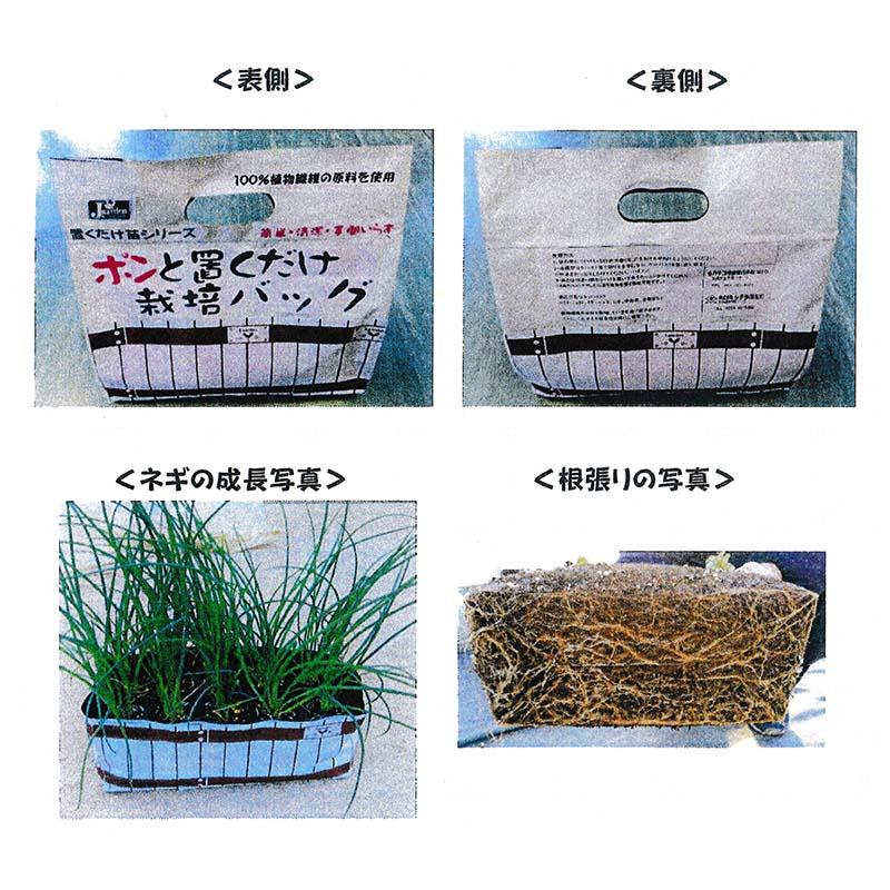 16個 ポンと置くだけ栽培バッグ 約3.3L 10連・4連カットパックを培土袋で栽培 植物栽培バッグ 苗 植栽 シダラ カ園 個人宅配送不可 代引不可 |  | 01