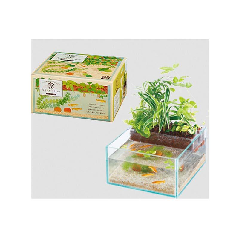 4個 アクアテリア メダカ用 KG N190 水槽セット 3.0L アクアリウム