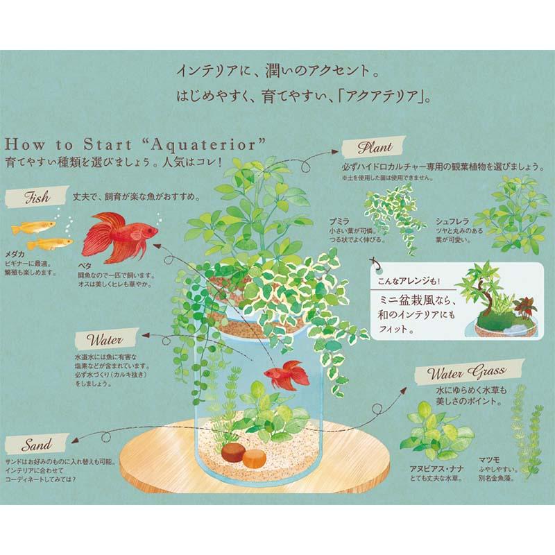 24個 アクアテリア カラーサンド ターコイズグリーン 200g アクアリウム 水槽 底砂 底床 ハイドロカルチャー 水作 カ園 個人宅配送不可 代引不可 |  | 02