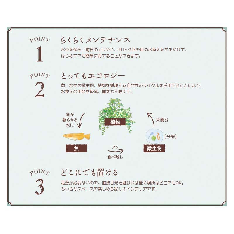 24個 アクアテリア カラーサンド ターコイズグリーン 200g アクアリウム 水槽 底砂 底床 ハイドロカルチャー 水作 カ園 個人宅配送不可 代引不可 |  | 03