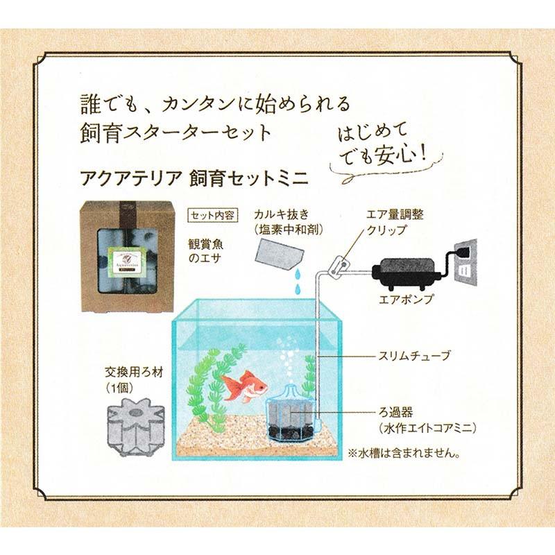 お気にいる 個人宅配送 12個 アクアテリア 飼育セットミニ フィルター 交換ろ材 エアポンプ エアチューブ カルキ抜き エサ 水作 カ園 希少 Zoetalentsolutions Com