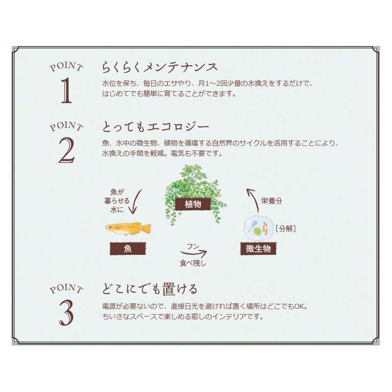 個人宅配送不可 12個 アクアテリア 飼育セットミニ フィルター 交換ろ材 エアポンプ エアチューブ カルキ抜き エサ 水作 カ園 代引不可 農業用品販売のプラスワイズ 通販 Yahoo ショッピング