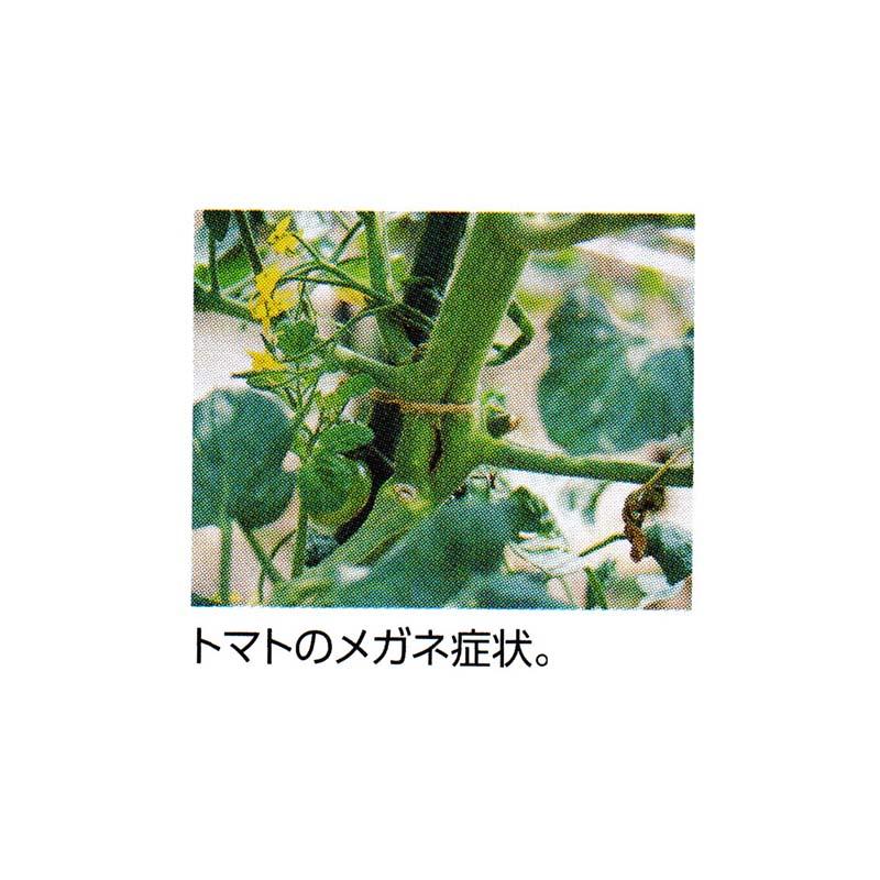 エバホウソA 500cc アミノール化学 ほう素欠乏予防 即効性葉面散布剤 濃縮液体肥料 活力液肥 液体肥料 液肥 育苗 米S 代引不可 |  | 01