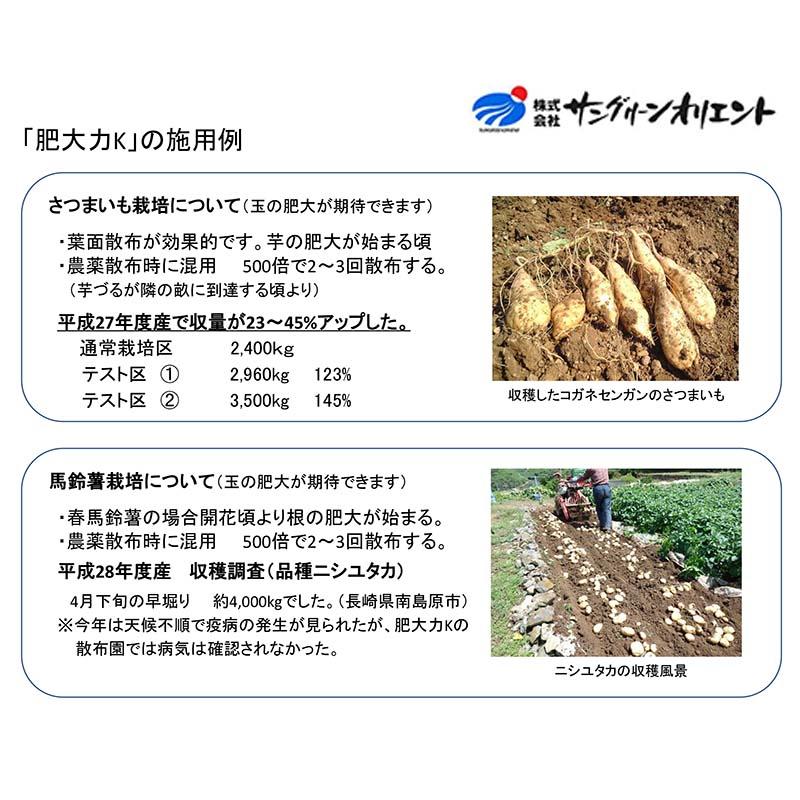 6個 肥大力 2kg 肥大促進 カリウム葉面散布肥料 根菜類 肥大 液肥 サングリーンオリエント タS D |  | 02