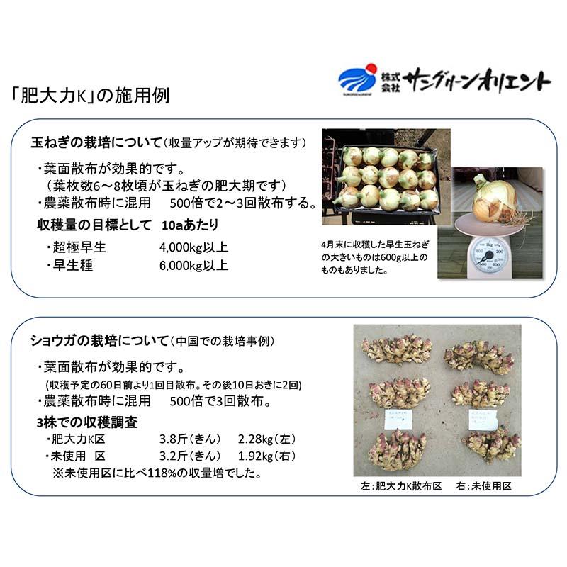 2個 肥大力 10kg 肥大促進 カリウム葉面散布肥料 根菜類 肥大 液肥 サングリーンオリエント タS D |  | 03