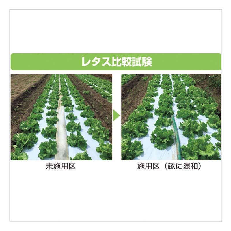 3個 野菜シリカ 10kg 連作障害抑止 土壌改良材 地力復活 有機栽培 培養土 サングリーンオリエント タS D |  | 04