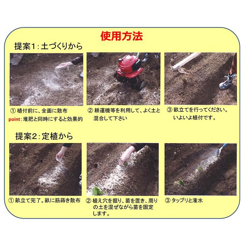 サンオリエントシリカ 20kg (営農用) 粒度 メッシュ #20 保肥力増大 連作障害軽減 培養土 サングリーンオリエント タS DZ |  | 02