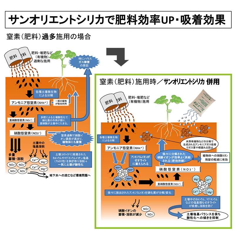 サンオリエントシリカ 20kg (営農用) 粒度 2.5mm 保肥力増大 連作障害軽減 培養土 サングリーンオリエント タS DZ |  | 04