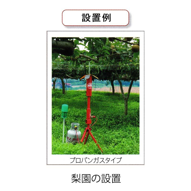 タイガー 天敵ニラミ バードパンチャー プロパンガス TBP-P2 爆発音 おどし羽根 防鳥 鳥害対策 鳥害防止 果樹園 カラス ヒヨドリ ハオ 個人宅配送不可 代引不可 |  | 04