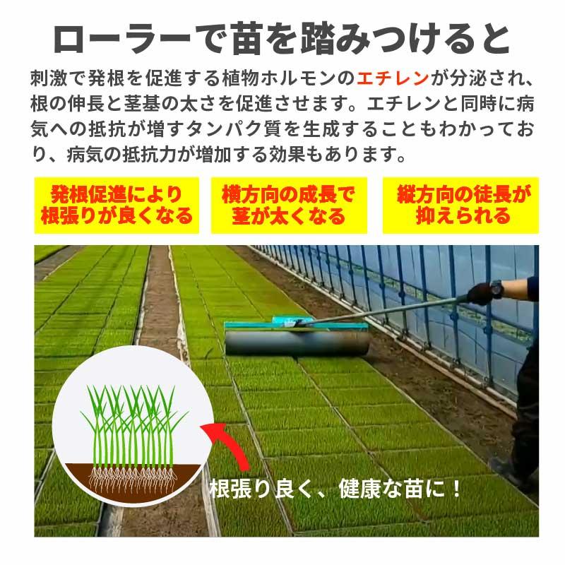 育苗ローラー IR-1250 啓文社 5段階調整 伸縮柄 生育 水稲 密播 密苗 の 育苗 に オK 代引不可 |  | 06
