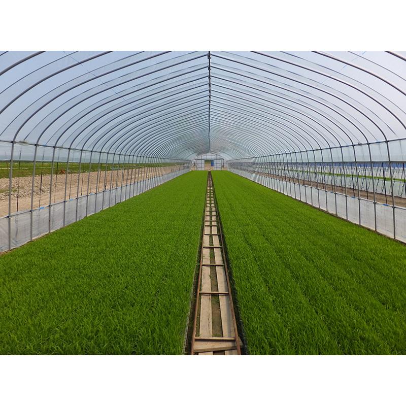 カゲナシ5 厚み0.1mm 幅900cm 長さ30m 農PO 外張り サイド用 散乱光 防霧 防滴 遮光 防滴 保温 タキロンシーアイ サT 北海道不可 個人宅配送不可 代引不可 | タキロンシーアイ | 03