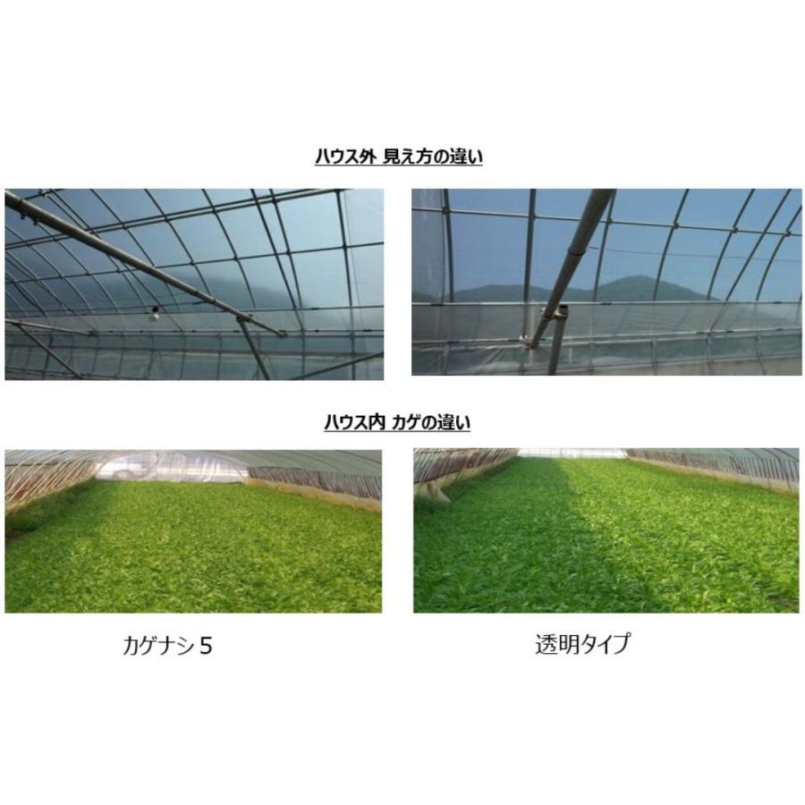 カゲナシ5 厚み0.1mm 幅900cm 長さ30m 農PO 外張り サイド用 散乱光 防霧 防滴 遮光 防滴 保温 タキロンシーアイ サT 北海道不可 個人宅配送不可 代引不可 | タキロンシーアイ | 04