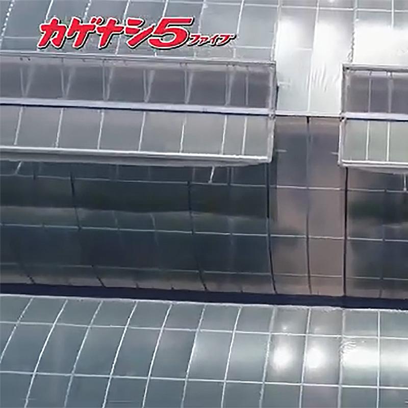 カゲナシ5 厚み0.15mm 幅800cm 長さ30m 農PO 外張り サイド用 散乱光 防霧 防滴 遮光 防滴 保温 タキロンシーアイ サT 北海道不可 個人宅配送不可 代引不可 | タキロンシーアイ | 05
