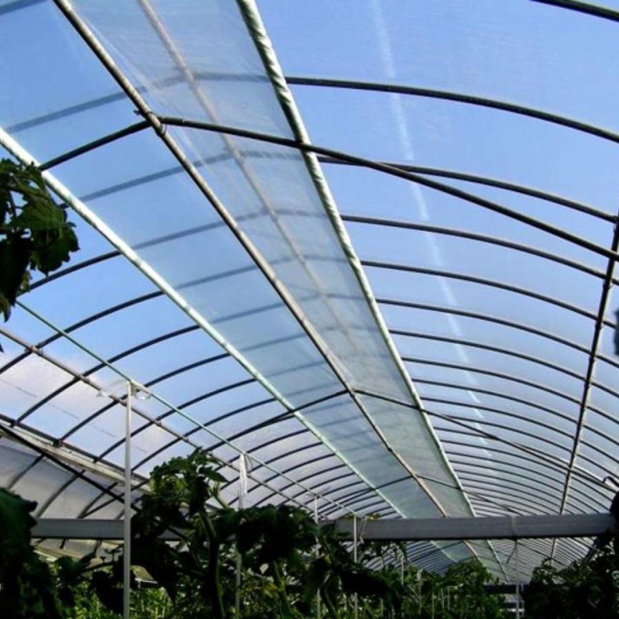 スカイコート 0.1mm 幅460cm 長さ100m 原反 農PO 外張り 内張り サイド用 透明 防霧 防滴 タキロンシーアイ サT 北海道不可 個人宅配送不可 代引不可 | タキロンシーアイ | 02